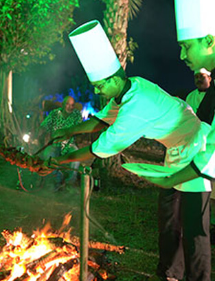 Bonfire & Barbecue
